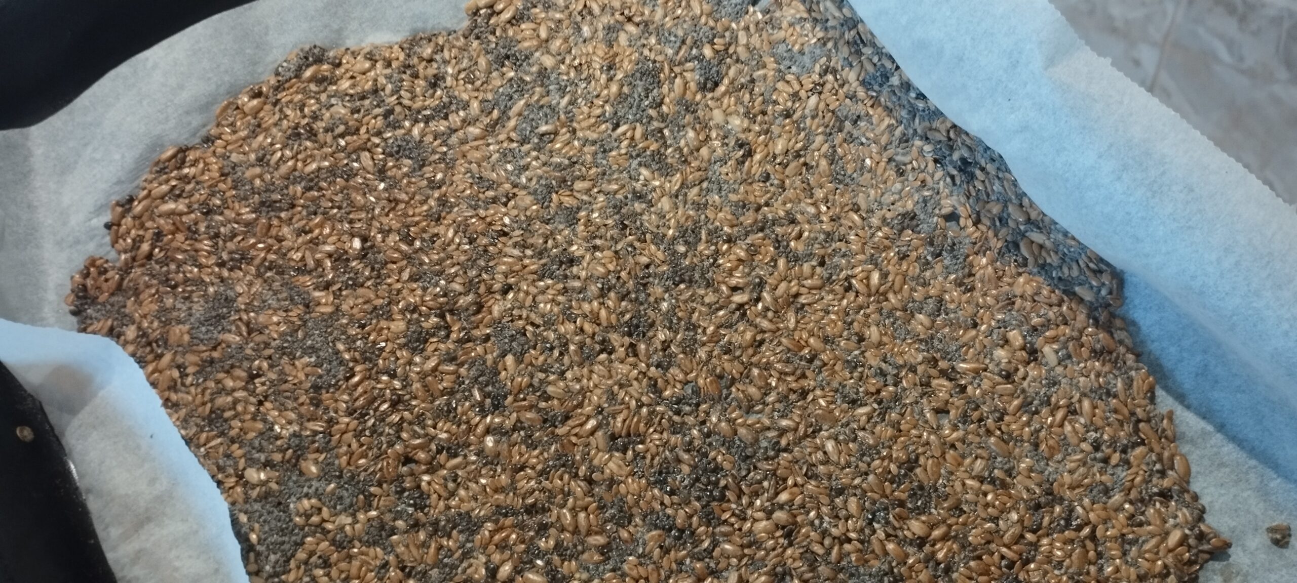 IMG 20250621 164159 Scaled 1