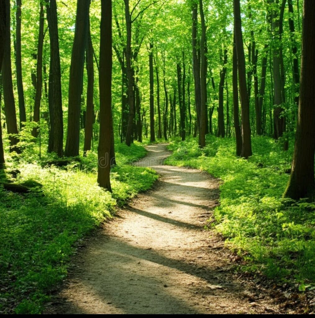 Screenshot 2025 07 10 22 32 01 237 Com.openai.chatgpt Edit 1014x1024