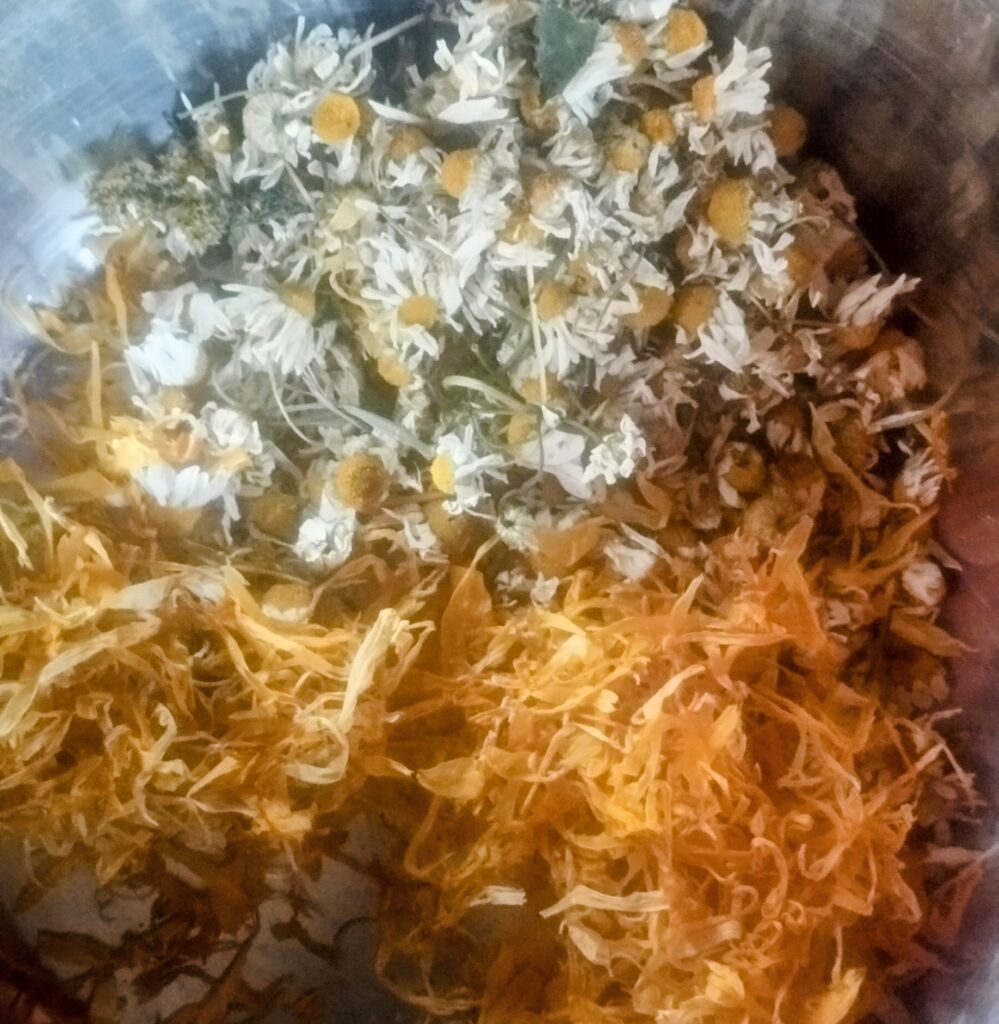 IMG 20250911 0720152 1 999x1024