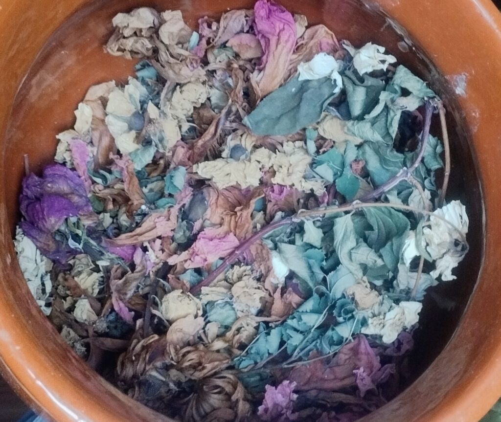 IMG 20260131 101837 12 1024x863