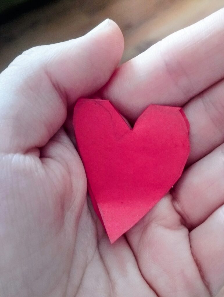 IMG 20260211 111057 771x1024